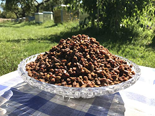 Pan de Abeja Orgánico 100% Fresco, Perga, Ambrosía, Polen Fermentado Naturalmente, 50g, Excelente Calidad, Empaque al Vacío. - imagen 1