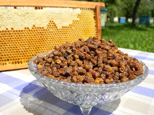 Pan de Abeja Orgánico 100% Fresco, Perga, Ambrosía, Polen Fermentado Naturalmente, 50g, Excelente Calidad, Empaque al Vacío. - imagen 3