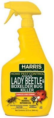 Insecticida para Escarabajos Asiáticos - imagen 1