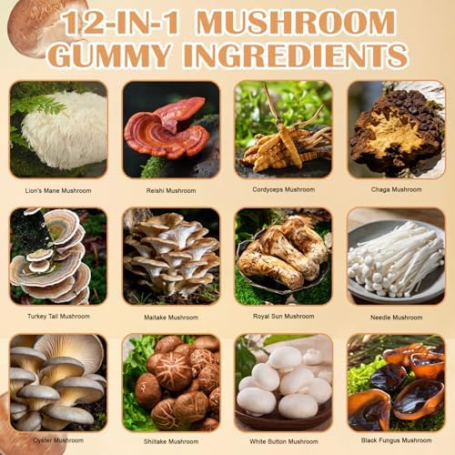 GUSUPY Gomas de Suplemento de Hongo Melena de León - Suplemento Diaria de 12 Hongos, Cordyceps, Chaga, Reishi, Mejora Cognitiva, 60 Gomas - imagen 4