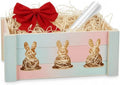 Kit de Cesta de Regalo Khevga Bunny – Caja de Madera Rústica con Envoltura, Moño y Relleno – Cesta Personalizable para Baby Shower, Cumpleaños y - imagen 1