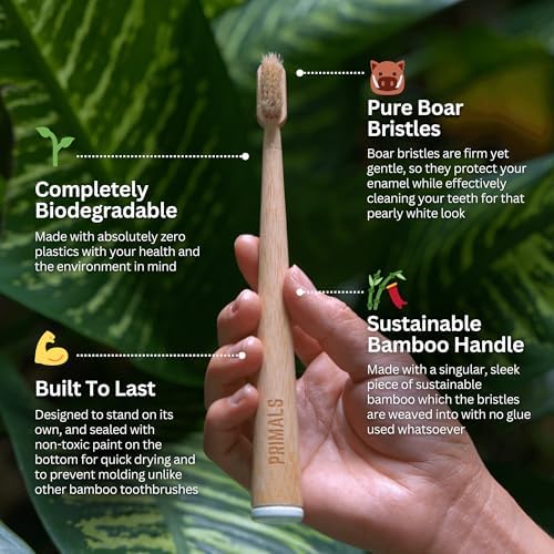Cepillo de Dientes PRIMALS de Cerda de Jabalí y Bambú (Paquete de 4) - Cerda Premium - 100% Biodegradable - Sin Plástico ni Nylon - Diseño de Secado - imagen 2