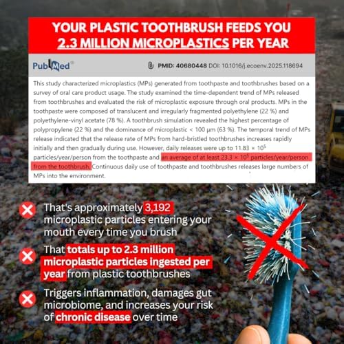 Cepillo de Dientes PRIMALS de Cerda de Jabalí y Bambú (Paquete de 4) - Cerda Premium - 100% Biodegradable - Sin Plástico ni Nylon - Diseño de Secado - imagen 4