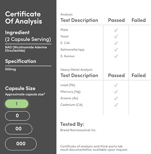 Suplementos Double Wood NAD+ Antienvejecimiento y Regeneración Celular | 500mg de NAD Plus 95% Puro por Porción, Suministro para 30 Días | Similar a - imagen 7