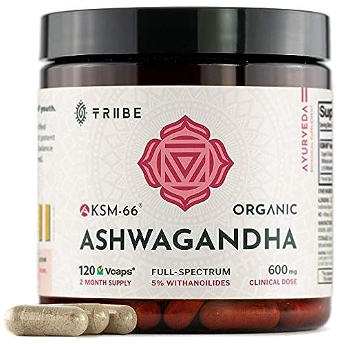 TRIBE ORGANICS Ashwagandha KSM 66 - Suplemento Orgánico en Polvo de Raíz Ayurvédica, 600mg, 120 Cápsulas para Energía, Ánimo y Fuerza - imagen 2