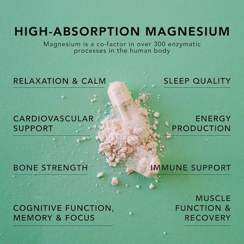 Suplemento de Magnesio AMANDEAN Magtein Complejo. Mezcla Triple de L-Treonato, Glicinato y Malato. 90 Cápsulas Veganas. Alta Absorción para Salud - imagen 3