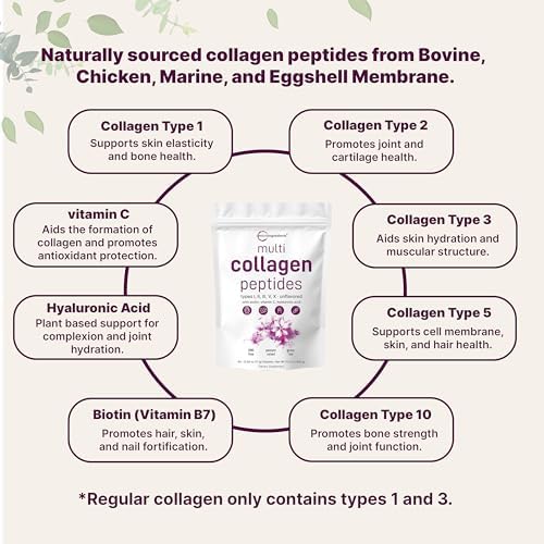 Micro Ingredients Polvo de Péptidos de Colágeno Múltiple, 40 Paquetes | Tipo I, II, III, V, X + Biotina, Vitamina C y Ácido Hialurónico | Sin Sabor | - imagen 3