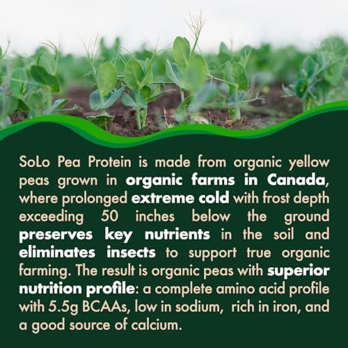 Proteína de Guisante Orgánica SOLO, Aislado, Bajo en Sodio, Guisantes Cultivados en Canadá, 100% Vegana, No Transgénica, Polvo de Proteína Vegetal - imagen 4