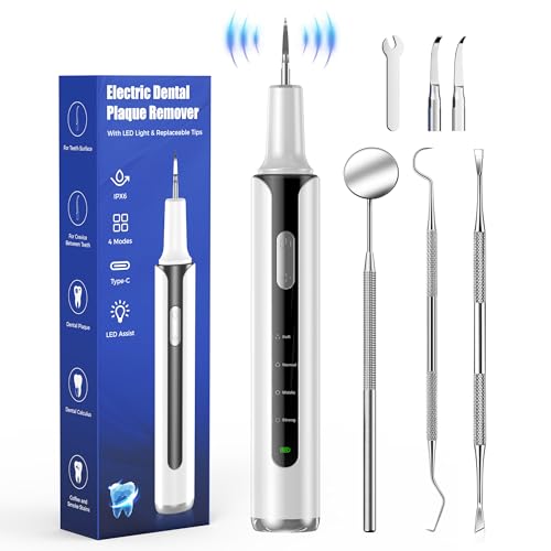 Removedor de Placa Dental Eléctrico, Limpiador de Sarro con 4 Modos y Luz LED, Kit Recargable de Herramientas Dentales con 3 Cabezas Reemplazables - imagen 1