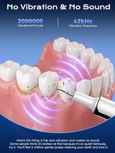 Removedor de Placa Dental Eléctrico, Limpiador de Sarro con 4 Modos y Luz LED, Kit Recargable de Herramientas Dentales con 3 Cabezas Reemplazables - imagen 5