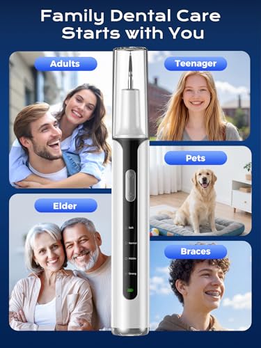 Removedor de Placa Dental Eléctrico, Limpiador de Sarro con 4 Modos y Luz LED, Kit Recargable de Herramientas Dentales con 3 Cabezas Reemplazables - imagen 8