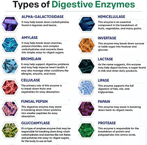 Suplemento de Enzimas Digestivas Wholesome Wellness 1000MG con Prebióticos y Probióticos, 180 Cápsulas, Fórmula Vegana Orgánica para Digestión y - imagen 5