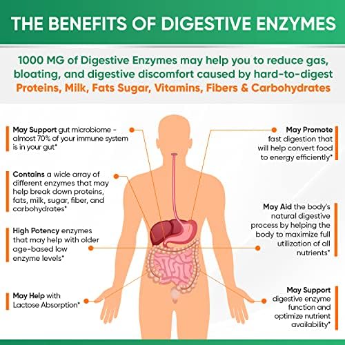 Suplemento de Enzimas Digestivas Wholesome Wellness 1000MG con Prebióticos y Probióticos, 180 Cápsulas, Fórmula Vegana Orgánica para Digestión y - imagen 6