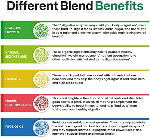 Suplemento de Enzimas Digestivas Wholesome Wellness 1000MG con Prebióticos y Probióticos, 180 Cápsulas, Fórmula Vegana Orgánica para Digestión y - imagen 8