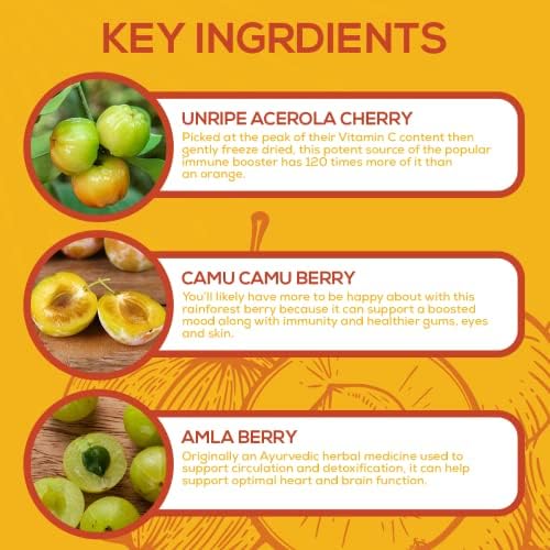 Paleovalley Essential C Complex - Suplemento de Vitamina C para Inmunidad - 1 Paquete, 450mg - Superalimentos Orgánicos: Cereza Acerola, Camu Camu, - imagen 6