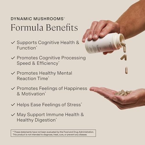 Dynamic Mushrooms de Stonehenge Health 1,400 mg por porción, Complejo de 5 Hongos (Melena de León, Reishi, Chaga, Maitake, Shiitake) 100% Cuerpos - imagen 2