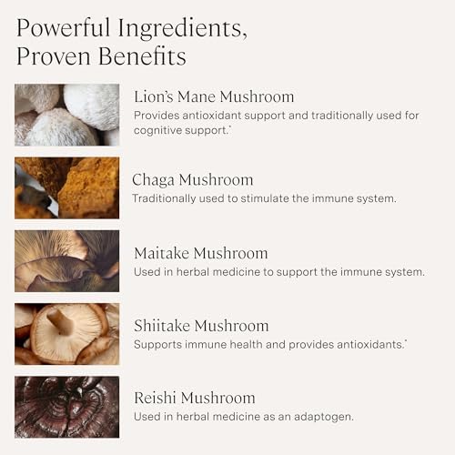 Dynamic Mushrooms de Stonehenge Health 1,400 mg por porción, Complejo de 5 Hongos (Melena de León, Reishi, Chaga, Maitake, Shiitake) 100% Cuerpos - imagen 3