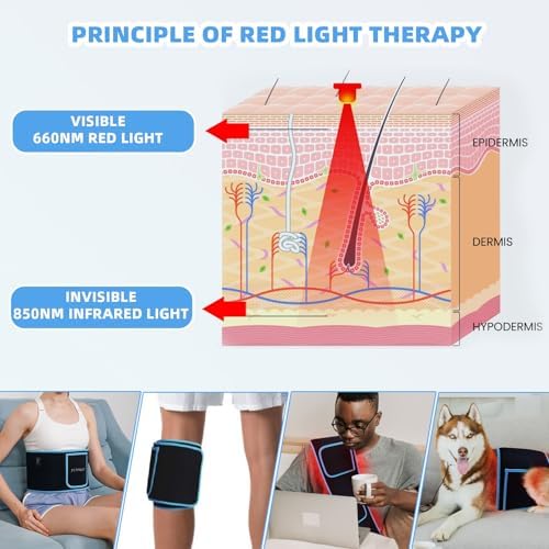 Cinturón de Terapia de Luz Roja e Infrarroja para Alivio Muscular en Cuerpo, Espalda, Hombros y Rodillas, LED 660nm 850nm, Grande y Con Control - imagen 4