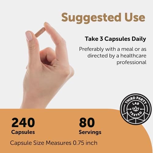 Micro Ingredients Nattokinasa 10,000 FU por Porción (Extracto Natural de Natto), 240 Cápsulas Vegetarianas | Con CoQ10, Cúrcuma, Ajo Envejecido y - imagen 3