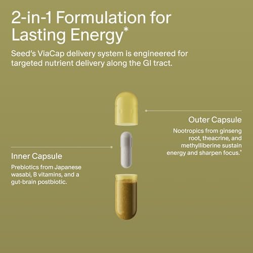 Seed AM-02 Energía + Enfoque - Suplemento Nootrópico Diario para Hombres y Mujeres - Energía Rápida y Sostenida hasta 6 Horas - Vegano y Sin Cafeína - imagen 3
