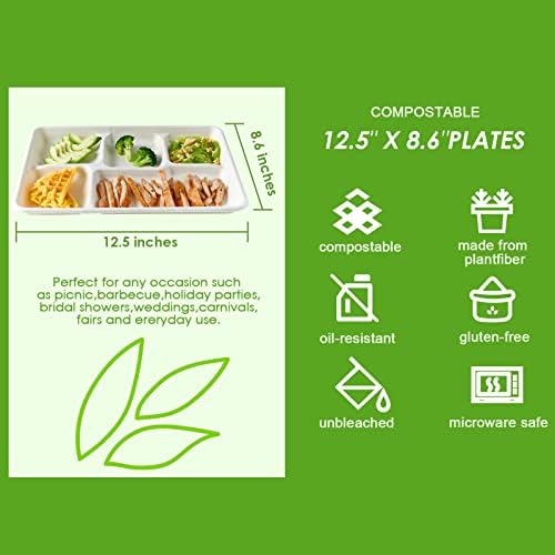 Platos de Papel Compostables Vplus de 5 Compartimentos, Paquete de 100, Bandejas Desechables para Almuerzo Escolar 12.5 x 8.6 pulgadas, Ecológicos de - imagen 3