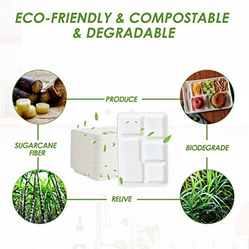 Platos de Papel Compostables Vplus de 5 Compartimentos, Paquete de 100, Bandejas Desechables para Almuerzo Escolar 12.5 x 8.6 pulgadas, Ecológicos de - imagen 5