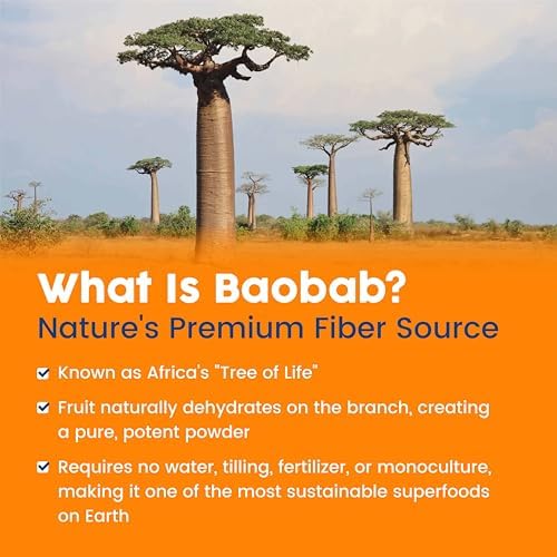 Polvo de Fibra Prebiótica Orgánica Baobab de NativePath - Suplemento para la Salud Digestiva - Sabor Natural a Naranja, 30 Porciones - imagen 6