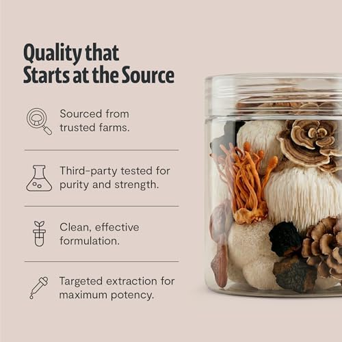 FreshCap Mushrooms Complejo de Hongos Ultimate – Extracto en Polvo 12:1 de Cuerpo Frutal con 29% de Beta-Glucanos – Energía Limpia Ayurveda, Sin - imagen 6