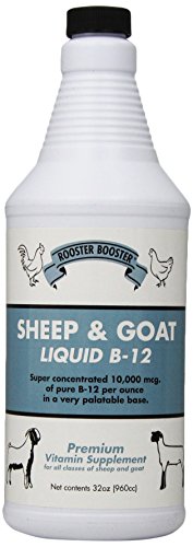 Rooster Booster B-12 Líquido para Ovejas y Cabras, 32 Onzas - imagen 4
