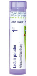 Boiron Ledum Palustre 1M para Picaduras de Insectos o Moretones - 80 Gránulos - imagen 1