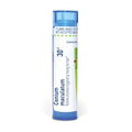 Boiron Conium Maculatum 30C para Mareos al Mover la Cabeza - 80 Gránulos - imagen 1