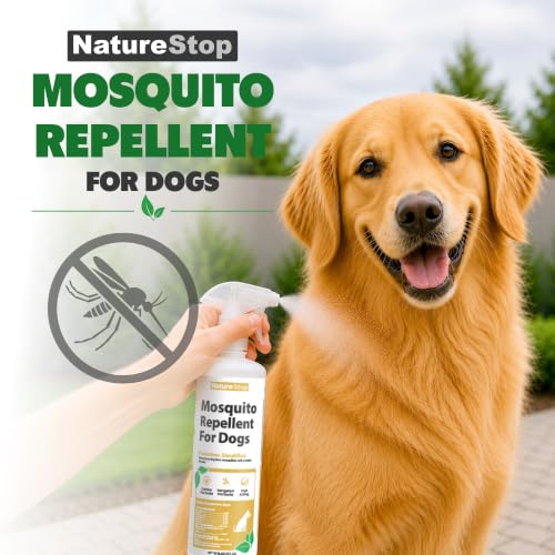 protección segura para mascotas al aire libre