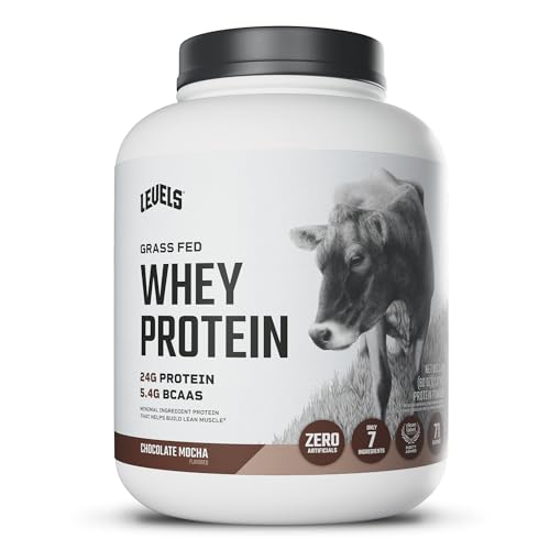 proteína en polvo de suero de leche