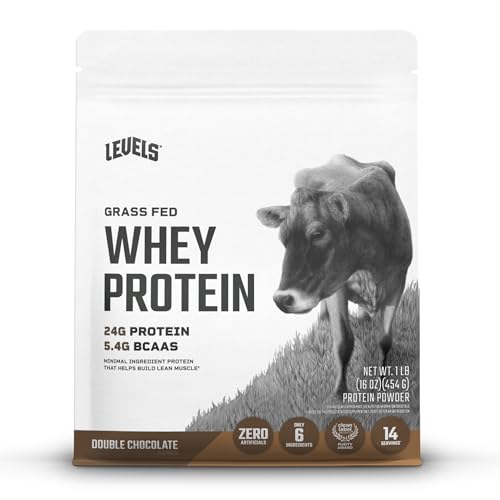 proteína en polvo de suero de leche