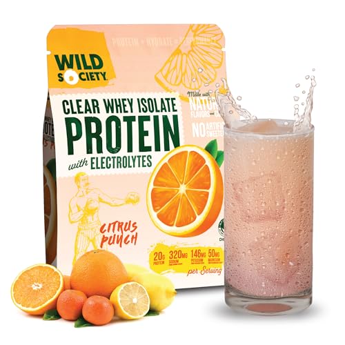 proteína en polvo sin azúcar