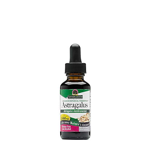 raíz de astrágalo orgánico para salud