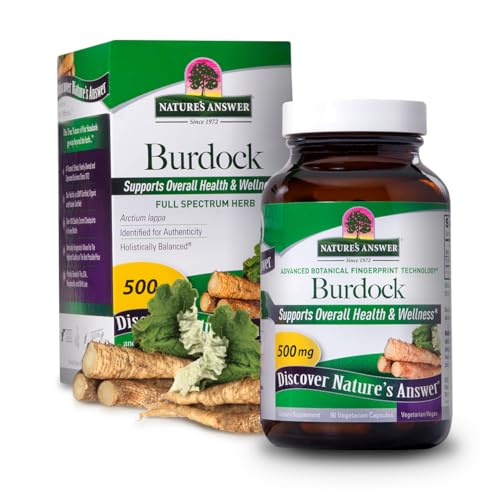 raíz de bardana antioxidante natural