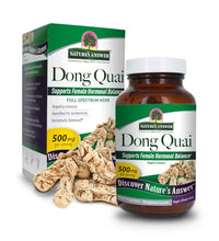 Raíz de Dong Quai para equilibrio hormonal