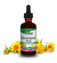 Raíz de Elecampane 100% vegano