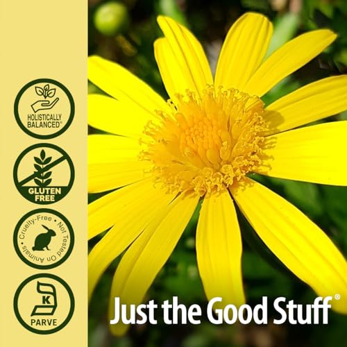 Raíz de Elecampane kosher