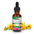 Raíz de Elecampane orgánica para salud