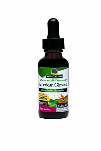 raíz de ginseng americano orgánico