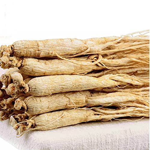 raíz de ginseng blanco natural