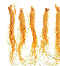 raíz de ginseng fresco natural