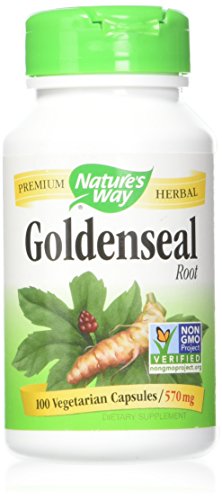 raíz de goldenseal para digestión