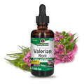 Raíz de valeriana para dormir mejor