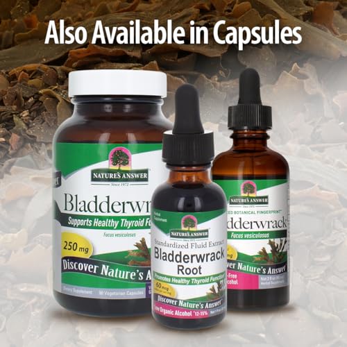 Refuerza tu salud con Bladderwrack