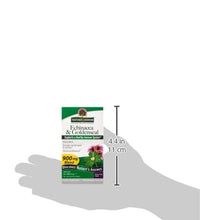 refuerza tu sistema inmunológico con echinacea