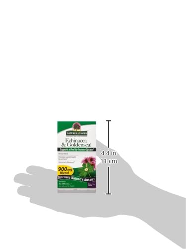 refuerza tu sistema inmunológico con echinacea