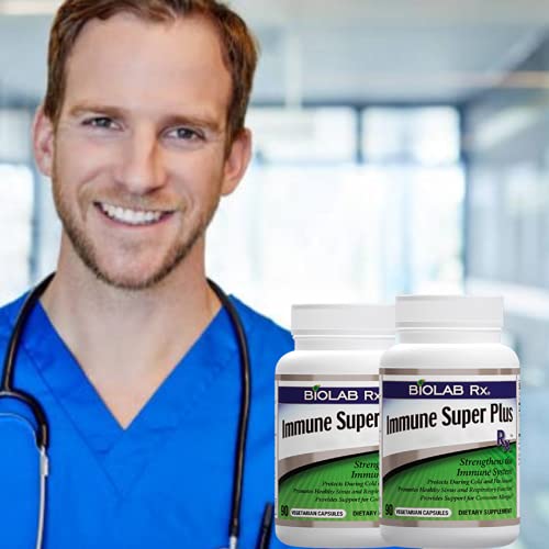 reishi y cordyceps para bienestar